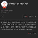 아니줌마들아