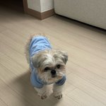 [19] 타로 잘 아는 사람 있어??ㅜㅠ