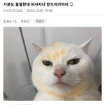 홍서용이