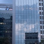 [드루와] 강아지 키우면 <b>배변</b>패드 어디다 둬?