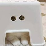 둘중에 누가 더 나음?