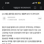 [댓글부탁해] 왜 부정선거로 물타기하는거임?? <b>합리화</b>좀그만해