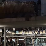 [방탈죄송] 드라마 촬영이 <b>벼슬</b>인가