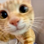 <b>삼반수</b>를 끝으로 수능판 떠남