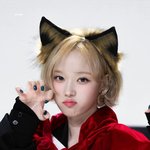 빨간망토소녀가 늑대까지 해도 됨? (ft.윈터)