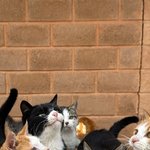 재수의 환상에서 다들 벗어나라