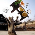 <b>하지</b>마