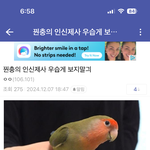 우파 여초 메르스 갤러리에서 선동중임