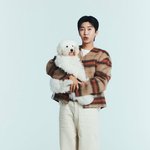 "제가 정치인인가요" 임영웅 추정 <b>DM</b>에 '정국 혼란' 불똥 왜?