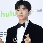 "정치인도 아닌데 목소리를 왜 내?" 임영웅, 탄핵 정국 속...