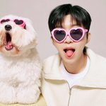 꼼수도 묘수(妙手, excellent plan)가 될 수 있다 (20)