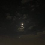 얘들아 이거 나만 잘못한거같음? 객관적으로 판단이 안돼 아님 쌍<b>방임</b>?