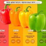 [댓글부탁해] 뭐가 더 <b>정확</b>함?