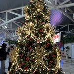 미리 메리꾸리스 <b>마쓰</b>