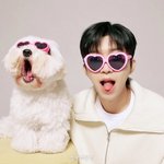 [댓글부탁해] [단독] “제가 왜요” 임영웅 발언 여파···포천시도...