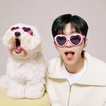 [단독] 임영웅 ‘홍보대사 해촉’ 민원, 포천시 접수 “발언 심히...