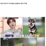 돈 때문에 입질견 방치해서 사고난 <b>동탄</b> 애견유치원