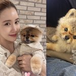 [모두드루와] '<b>세븐</b>' 이다해, 아픈 반려견 살려낸 엄마의 '눈물'...