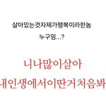 [댓글부탁해] 내 남돌 취향 뭐같음