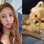 가슴아픈 소식 전했다 "엄마가 미안해.." 울컥[<b>SHOT</b>!]