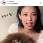 제니 유기<b>동물</b> 보호소 기부 캠페인 참여했다고함