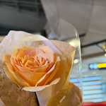 에일리, '솔로지옥' 최시훈에 받은 '깜짝 선물' 자랑…행복한 예비신부