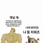 [냥냥펀치] 째롱아 이게<b>모야</b>