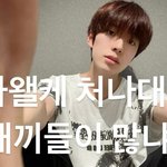 유우시는 <b>이런밈</b>짤이 왤케많냐ㅋㅋ