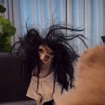 [드루와] <b>N수</b> 반수 고민하는 사람 들어와봐