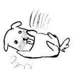 <b>삼수</b>할 가치 잇는지 앙딱정 좀