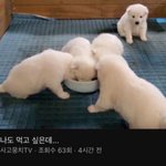 지방의 ㄷ 서울치