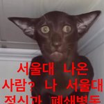 <b>후면</b> 카메라보다 개충격적인거