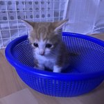 서울대 붙고 <b>성대</b> 떨어짐ㅋㅋㅋㅋ