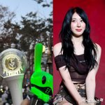 "연예인이니 목소리 내지" 이채연, 탄핵 소신→집회 참가…'악플...