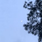 엔시티는 다른 그룹에 비해 <b>막내</b>온<b>탑</b> 기질 ㅂㄹ 없는 것 같음