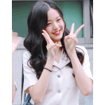 연령대별 장원영