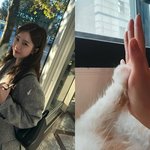 [추억팔<b>아요</b>] [팝업]김소은, 15년 함께한 아들 떠나보냈다 "실감...