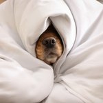 <b>이병원</b>이나