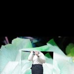 <b>폴라</b>티입었는데