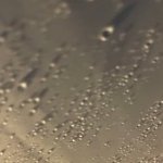 우주소녀 사실상해<b>체네</b>