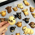 [댓글부탁해] 너네 절대 <b>경주사람</b>이랑 연애하지마