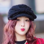  ‘고양이가 되고 싶은 병아리’ (<b>동물</b>농장 출근길) [HD포토]