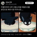 원빈 <b>지젤</b> 엮는거 어처구니 없는이유