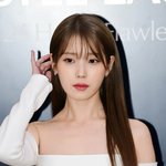 아이유, 표절 의혹 완전히 벗었다…꼭꼭 숨은 미국 체류 악플러 [TEN이슈]