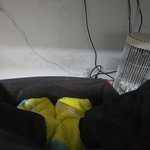 [<b>회사</b>생활] 씨~~~~~~~~~~~~~<b>x</b> 진짜 냉동참치되겠다 대표야...