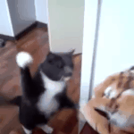 <b>사리</b>분별을