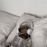 [드루와] 나 <b>범죄자급</b>으로 인생망함