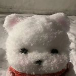 엉엉엉엉엉엉 나도 <b>도피</b>유학