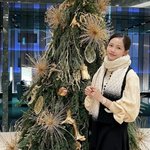 해명→국내 복귀했는데...다시 <b>일본행</b> "도코 연말 분위기 물씬