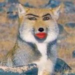 뷰티유튜버들 실물이 진짜 예쁜거같음